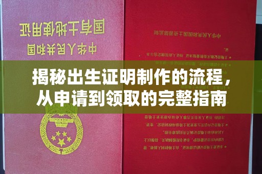 固镇揭秘出生证明制作的流程，从申请到领取的完整指南
